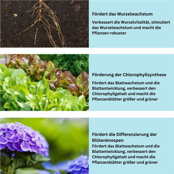 PlantGrow - Pflanzennährstofflösung