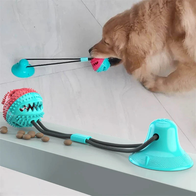 Pull-N-Go l Endloser Spielspaß für Ihren Hund!