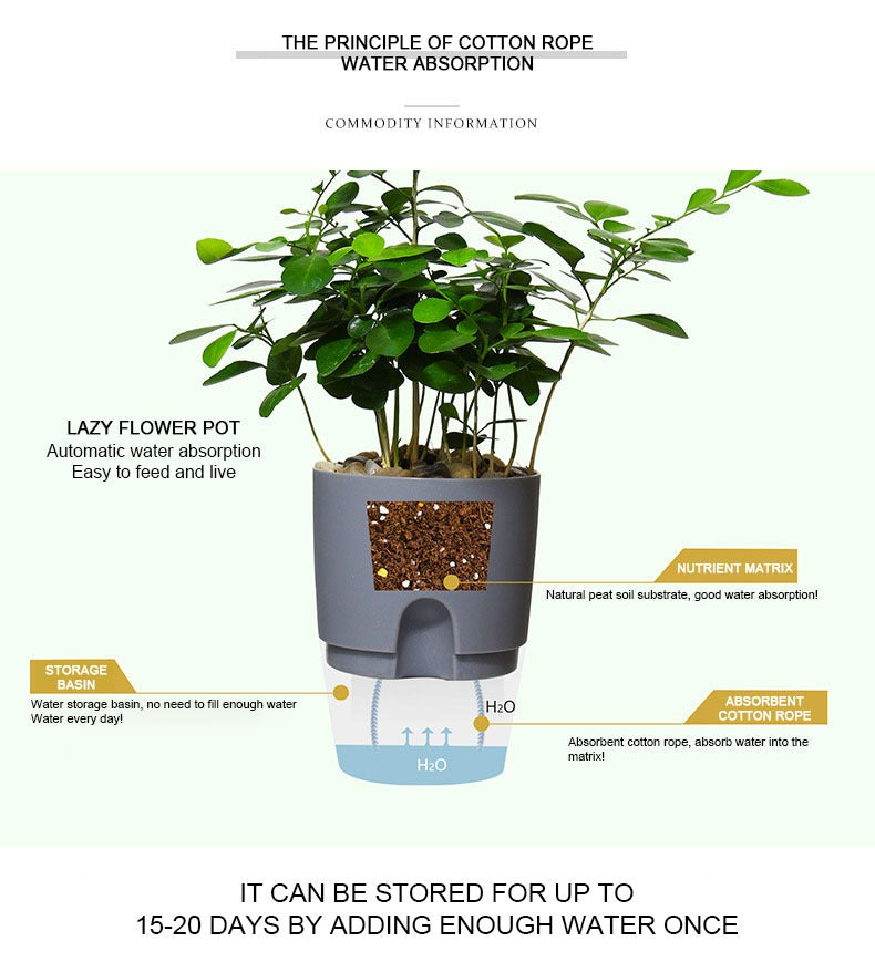 Smart-Pflanzentopf | der selbstbewässernde Pflanzentopf