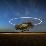 A tree in a field with a circle in the sky