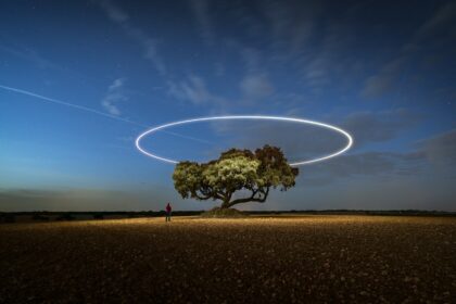 A tree in a field with a circle in the sky